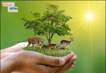 నేడు ప్రపంచ ప్రకృతి పరిరక్షణ దినోత్సవం నేడు ప్రపంచ ప్రకృతి పరిరక్షణ దినోత్సవం