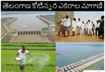 తెలంగాణ కోటిన్నర ఎకరాల మాగాణి తెలంగాణ కోటిన్నర ఎకరాల మాగాణి