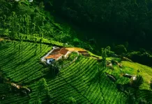 E-Passes Mandatory To Visit ఊటీ E Passes