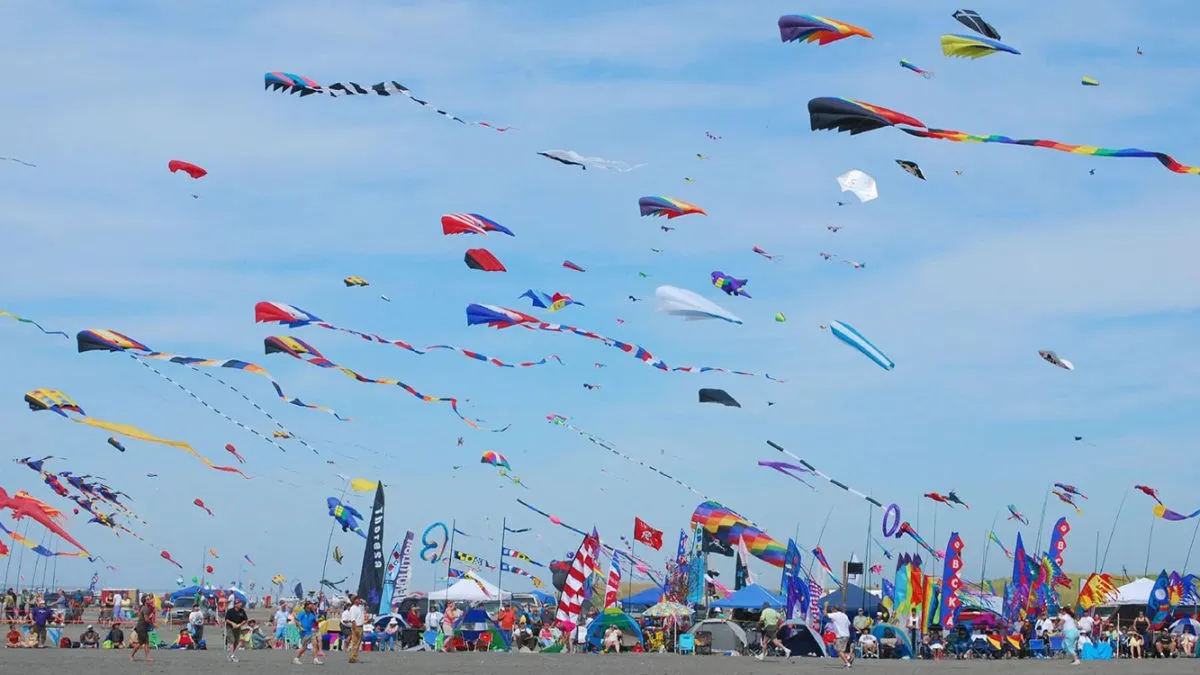 Kite festival 2025