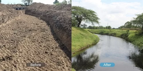 Rivers Rise Again: The Art of Living's Journey of Rejuvenation