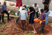 Bloom Avenue: A Year-Round Flower Corridor on Bengaluru's Major Arterial Road in Kempegowda Layout