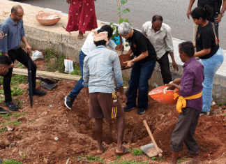 Bloom Avenue: A Year-Round Flower Corridor on Bengaluru's Major Arterial Road in Kempegowda Layout