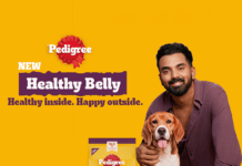 Nearly 1 in 4 Pet Parents Feeding Home-Cooked Meals Report Digestive Issues; PEDIGREE® Responds with Healthy Belly