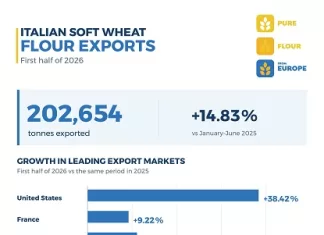 Italian Soft Wheat Flour Exports Maintain Positive Momentum, Driven by the Commitment and Capabilities of the Italian Milling Industry